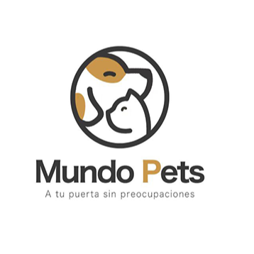 Client 6